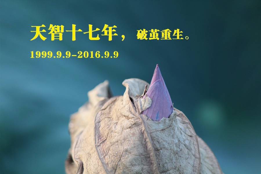 天智十七年，破繭重生。